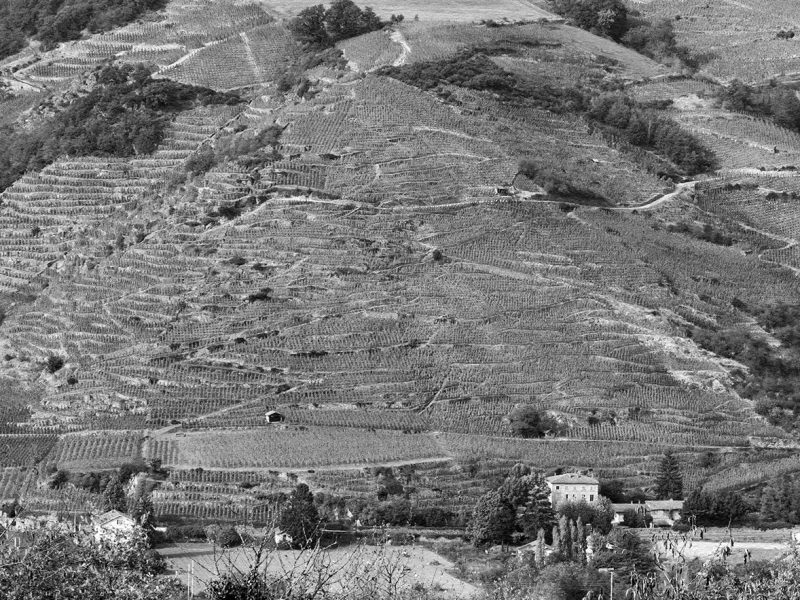 reportage photographiqe au domaine